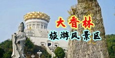 男的把鸡巴插入女的逼的视频中国浙江-绍兴大香林旅游风景区
